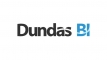 Dundas Data  Visualization, Inc. logo
