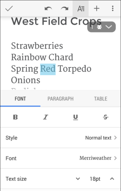 Google Docs screen-4