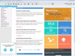 Magaya Distribution System screen-1