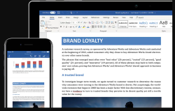 Microsoft Word screen-1