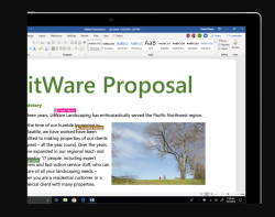 Microsoft Word screen-4