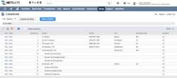 NetSuite Inventory Management screen-4