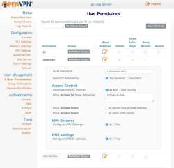 OpenVPN Access Server screen-1
