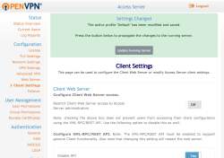 OpenVPN Access Server screen-4