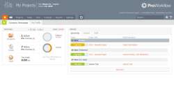 ProWorkflow screen-1