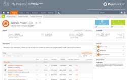 ProWorkflow screen-2