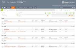 ProWorkflow screen-3