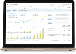 SAP Analytics Cloud screen-1