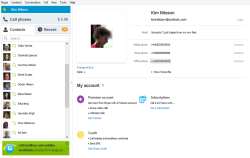 Skype screen-1