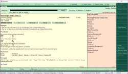 Tally ERP 9 screen-3