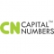 Web Design and Devlopment by Capital Numbers logo